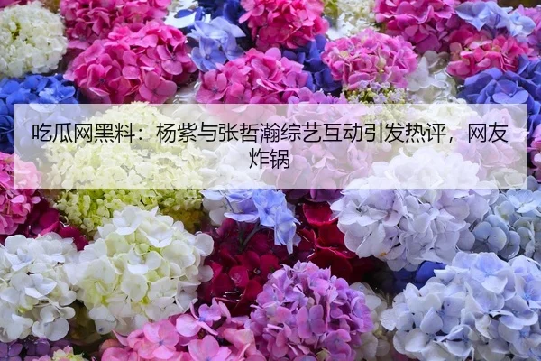 吃瓜网黑料：杨紫与张哲瀚综艺互动引发热评，网友炸锅